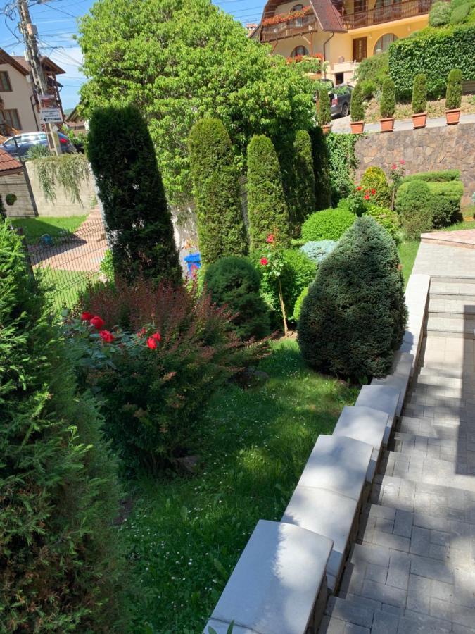索瓦塔Pensiunea Eva住宿加早餐旅馆 外观 照片