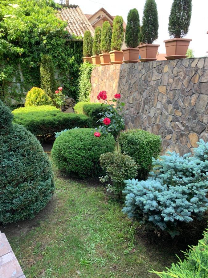 索瓦塔Pensiunea Eva住宿加早餐旅馆 外观 照片