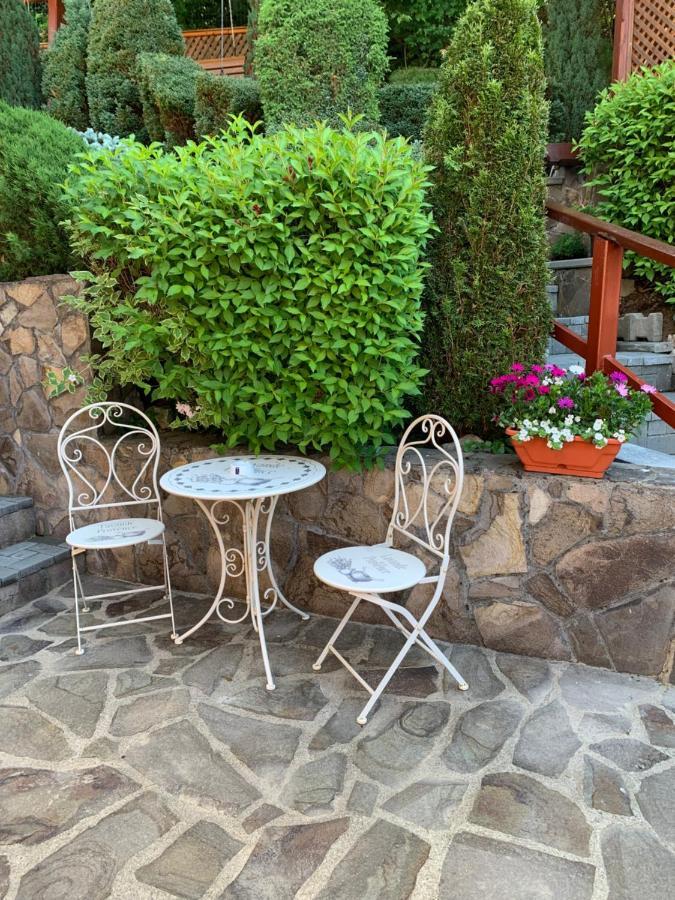 索瓦塔Pensiunea Eva住宿加早餐旅馆 外观 照片