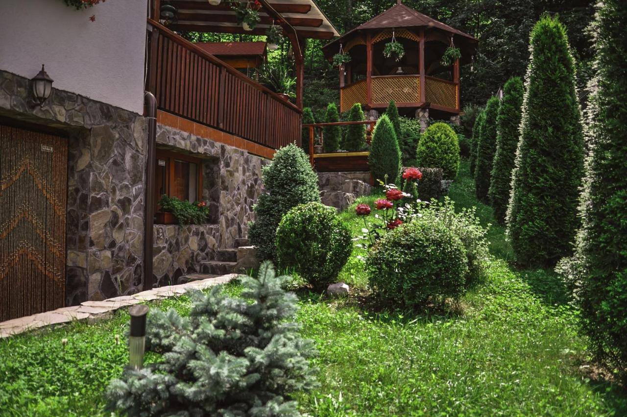 索瓦塔Pensiunea Eva住宿加早餐旅馆 外观 照片